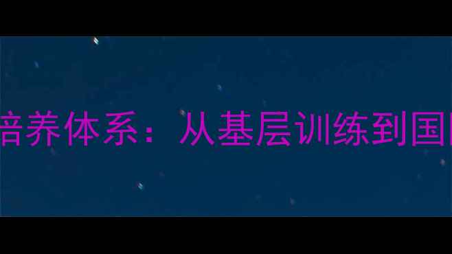 图片 日本青少年羽毛球培养体系：从基层训练到国际赛事的崛起之路2
