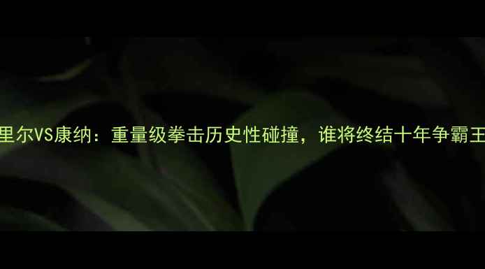 图片 普瓦里尔VS康纳：重量级拳击历史性碰撞，谁将终结十年争霸王座？