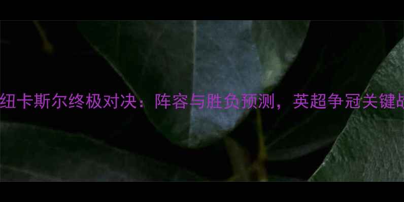 图片 曼联vs纽卡斯尔终极对决：阵容与胜负预测，英超争冠关键战前瞻2