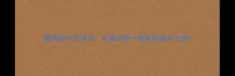 图片 曼联爱尔兰球员：从青训到一线队的成长之路1