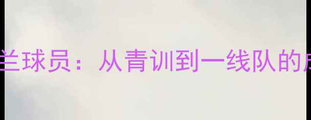 图片 曼联爱尔兰球员：从青训到一线队的成长之路2