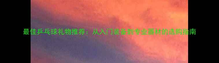 图片 最佳乒乓球礼物推荐：从入门装备到专业器材的选购指南