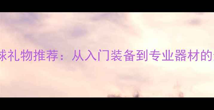 图片 最佳乒乓球礼物推荐：从入门装备到专业器材的选购指南2
