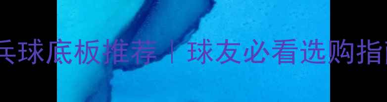 图片 最佳内置乒乓球底板推荐｜球友必看选购指南&避坑攻略