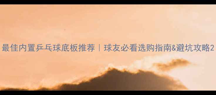 图片 最佳内置乒乓球底板推荐｜球友必看选购指南&避坑攻略2