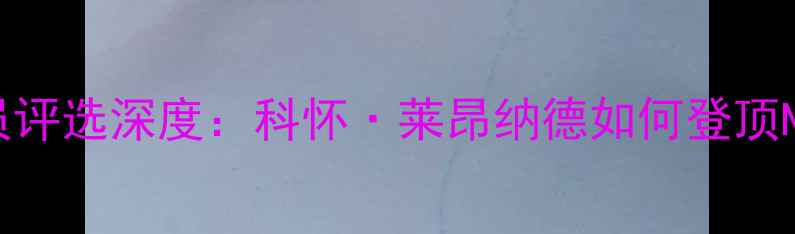 图片 最佳防守球员评选深度：科怀·莱昂纳德如何登顶NBA防守之巅1