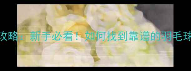 图片 最全羽毛球群加入攻略：新手必看！如何找到靠谱的羽毛球俱乐部及活动指南