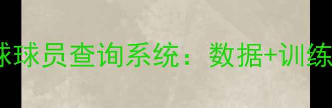 图片 最新业余足球球员查询系统：数据+训练+赛事全攻略