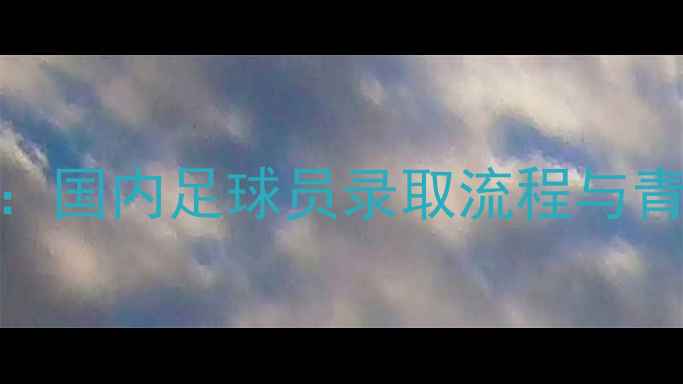 图片 最新指南：国内足球员录取流程与青训体系全