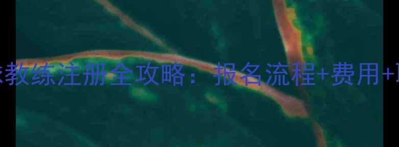 图片 最新政策乒乓球教练注册全攻略：报名流程+费用+职业发展指南✨