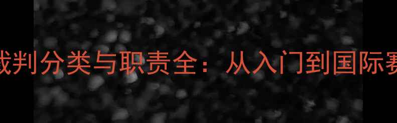 图片 最新版乒乓球裁判分类与职责全：从入门到国际赛事的晋升指南