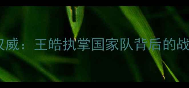 图片 最新男乒乓球教练权威：王皓执掌国家队背后的战略布局与训练体系2