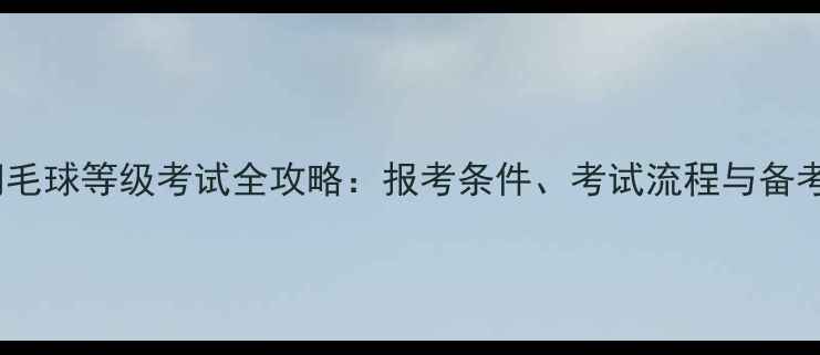 图片 最新羽毛球等级考试全攻略：报考条件、考试流程与备考指南1