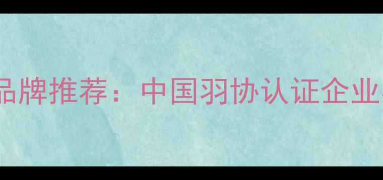 图片 最新羽毛球赞助品牌推荐：中国羽协认证企业名录与赞助价值1