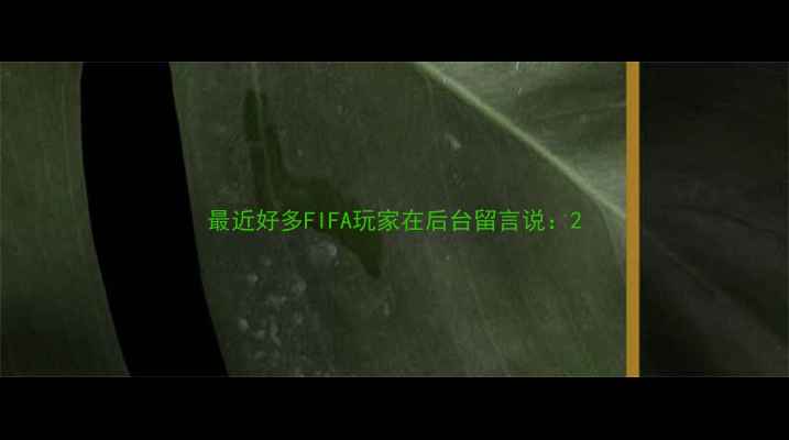 图片 最近好多FIFA玩家在后台留言说：2