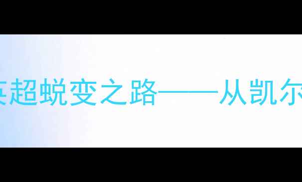 图片 本·泰雷尼：爱尔兰国脚的英超蜕变之路——从凯尔特人青训到狼队核心的技术1