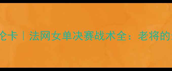 图片 李娜VS阿丽娜·萨巴伦卡｜法网女单决赛战术全：老将的最后一舞如何逆转？2