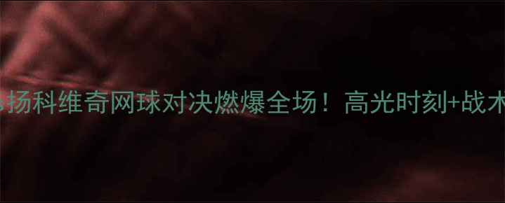 图片 李娜vs扬科维奇网球对决燃爆全场！高光时刻+战术必看1