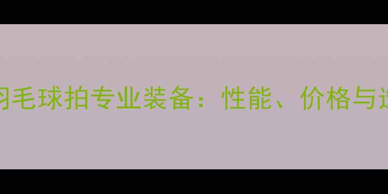 图片 李宁YY羽毛球拍专业装备：性能、价格与选购指南