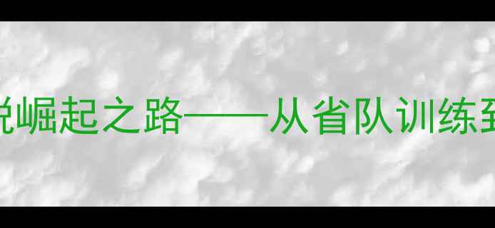 图片 李珊：中国羽毛球新锐崛起之路——从省队训练到国际赛事的进阶秘籍