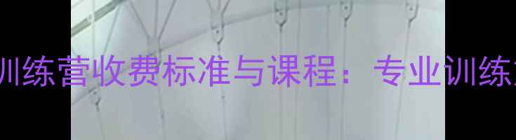 图片 李矛羽毛球训练营收费标准与课程：专业训练如何定价？1