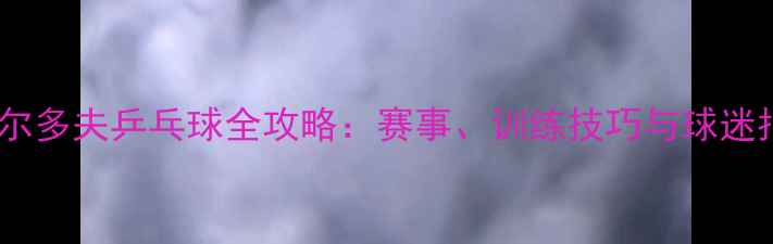 图片 杜塞尔多夫乒乓球全攻略：赛事、训练技巧与球迷指南1