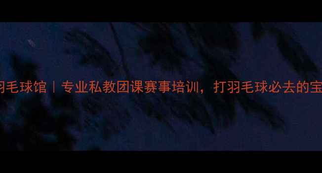 图片 杭州朱华羽毛球馆｜专业私教团课赛事培训，打羽毛球必去的宝藏场馆！1