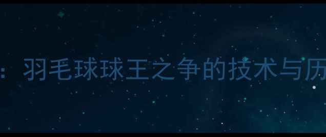 图片 林丹VS安赛龙：羽毛球球王之争的技术与历史对决全记录