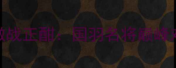 图片 林丹新加坡羽毛球赛激战正酣：国羽名将巅峰对决，精彩瞬间全回顾