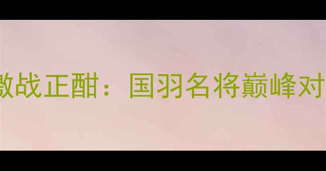图片 林丹新加坡羽毛球赛激战正酣：国羽名将巅峰对决，精彩瞬间全回顾1