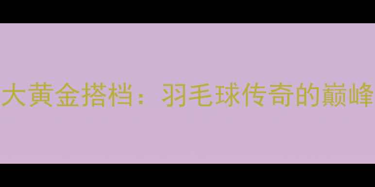 图片 林丹职业生涯中的五大黄金搭档：羽毛球传奇的巅峰对决与团队协作艺术