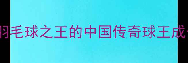 图片 林丹：从乡村少年到羽毛球之王的中国传奇球王成长史+训练秘籍全公开