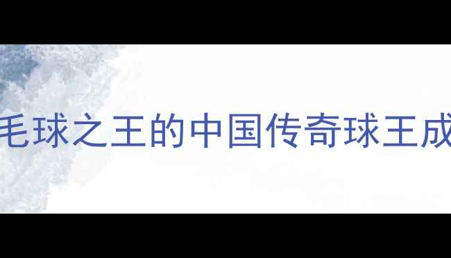 图片 林丹：从乡村少年到羽毛球之王的中国传奇球王成长史+训练秘籍全公开1