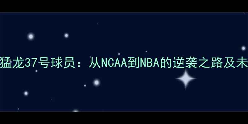图片 林书豪猛龙37号球员：从NCAA到NBA的逆袭之路及未来展望