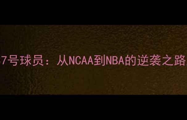 图片 林书豪猛龙37号球员：从NCAA到NBA的逆袭之路及未来展望2