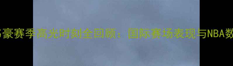 图片 林书豪赛季高光时刻全回顾：国际赛场表现与NBA数据1