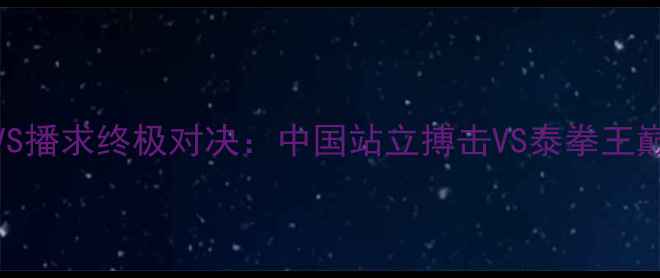 图片 柳海龙VS播求终极对决：中国站立搏击VS泰拳王巅峰之战