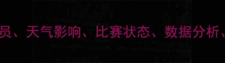 图片 核心英超球员、天气影响、比赛状态、数据分析、足球战术2