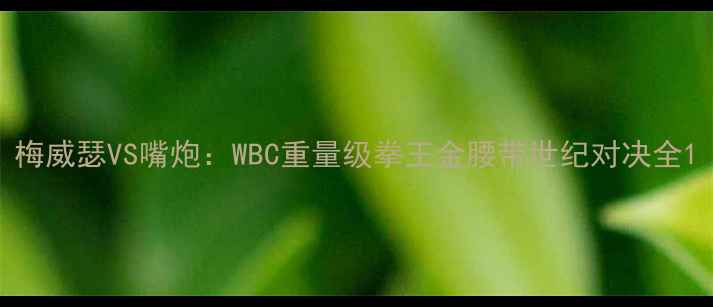 图片 梅威瑟VS嘴炮：WBC重量级拳王金腰带世纪对决全1