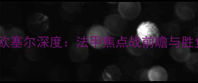 图片 梅斯vs欧塞尔深度：法甲焦点战前瞻与胜负预测1