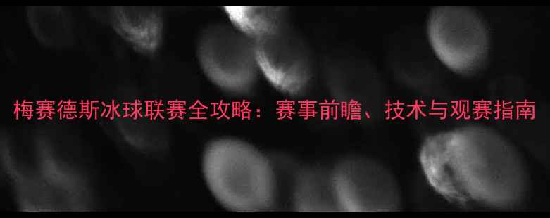 图片 梅赛德斯冰球联赛全攻略：赛事前瞻、技术与观赛指南