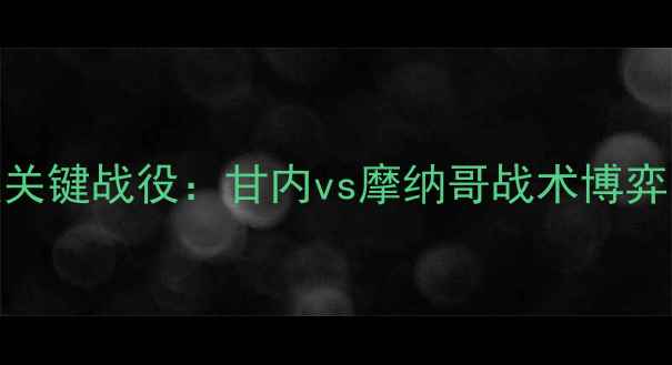 图片 欧洲杯预选赛D组关键战役：甘内vs摩纳哥战术博弈与历史数据深度2