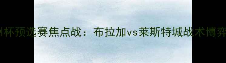图片 欧洲杯预选赛焦点战：布拉加vs莱斯特城战术博弈全1
