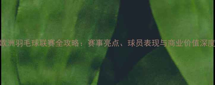 图片 欧洲羽毛球联赛全攻略：赛事亮点、球员表现与商业价值深度
