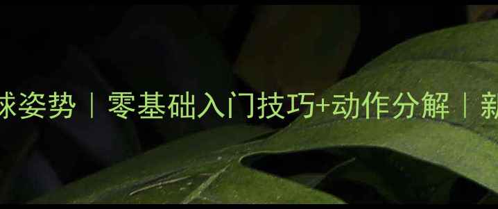 图片 正确打羽毛球姿势｜零基础入门技巧+动作分解｜新手必看教程