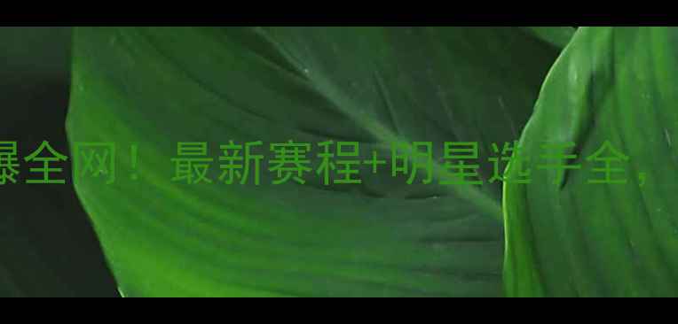 图片 武林风王冠终极对决燃爆全网！最新赛程+明星选手全，这波武术盛宴必须看！1