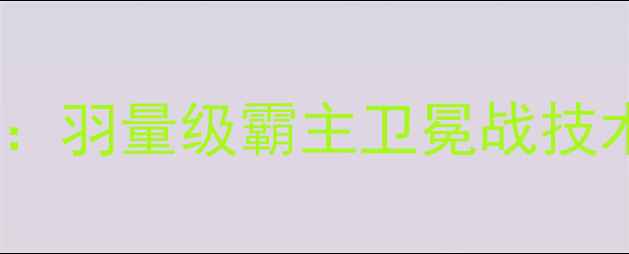 图片 武林风邱建良终极战报：羽量级霸主卫冕战技术应用与职业发展深度2