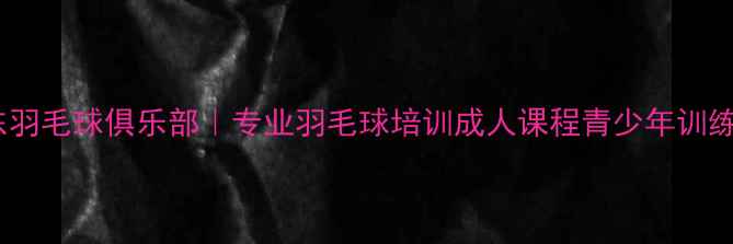 图片 武汉东羽毛球俱乐部｜专业羽毛球培训成人课程青少年训练机构1