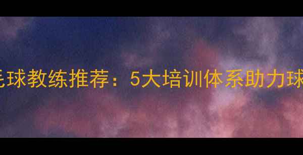 图片 武汉汉口专业羽毛球教练推荐：5大培训体系助力球友快速提升技术2