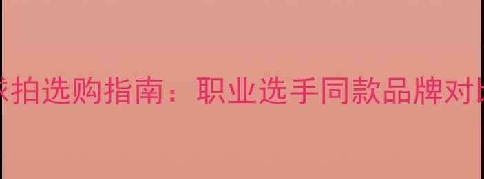 图片 比赛用乒乓球拍选购指南：职业选手同款品牌对比与实战性能